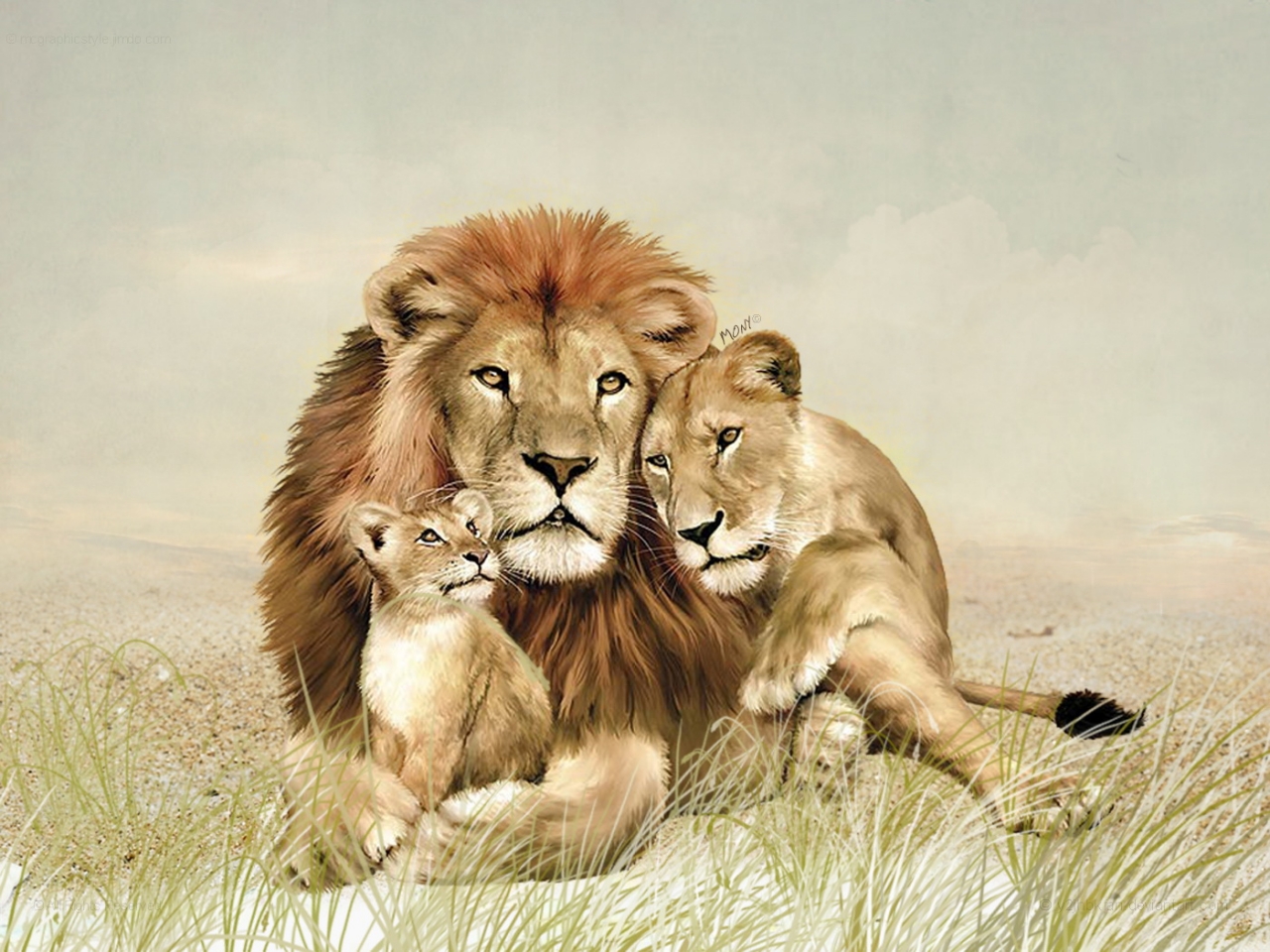 Romantic Lion Couple Wallpapers