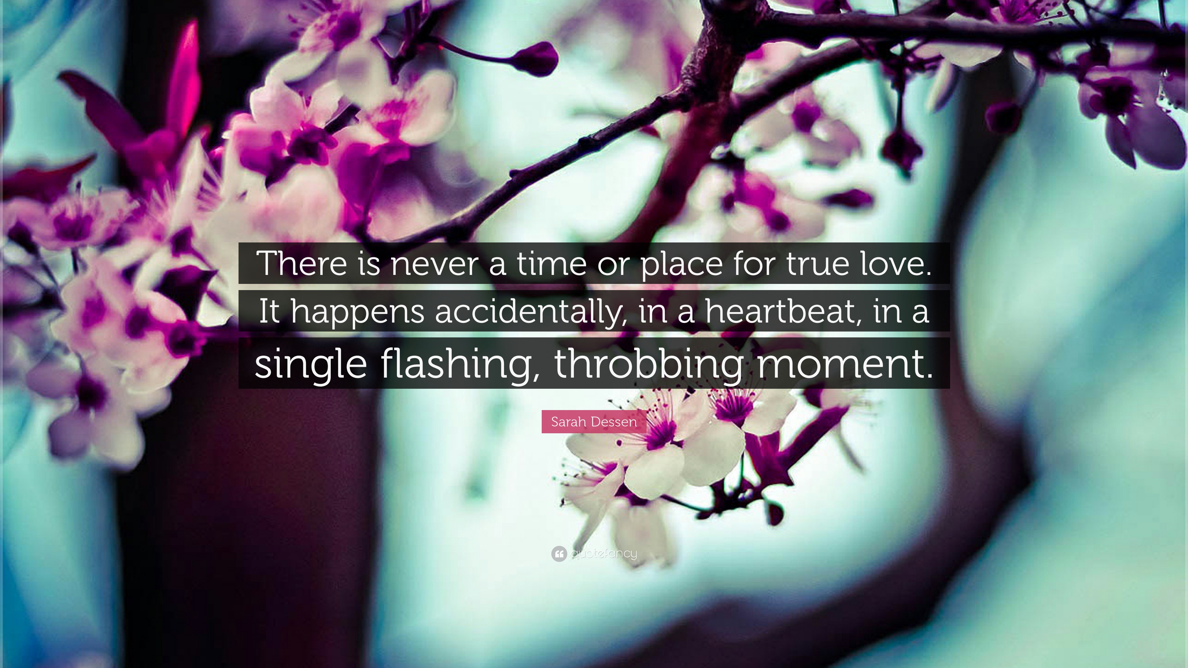 Romantic With Quotes Wallpapers