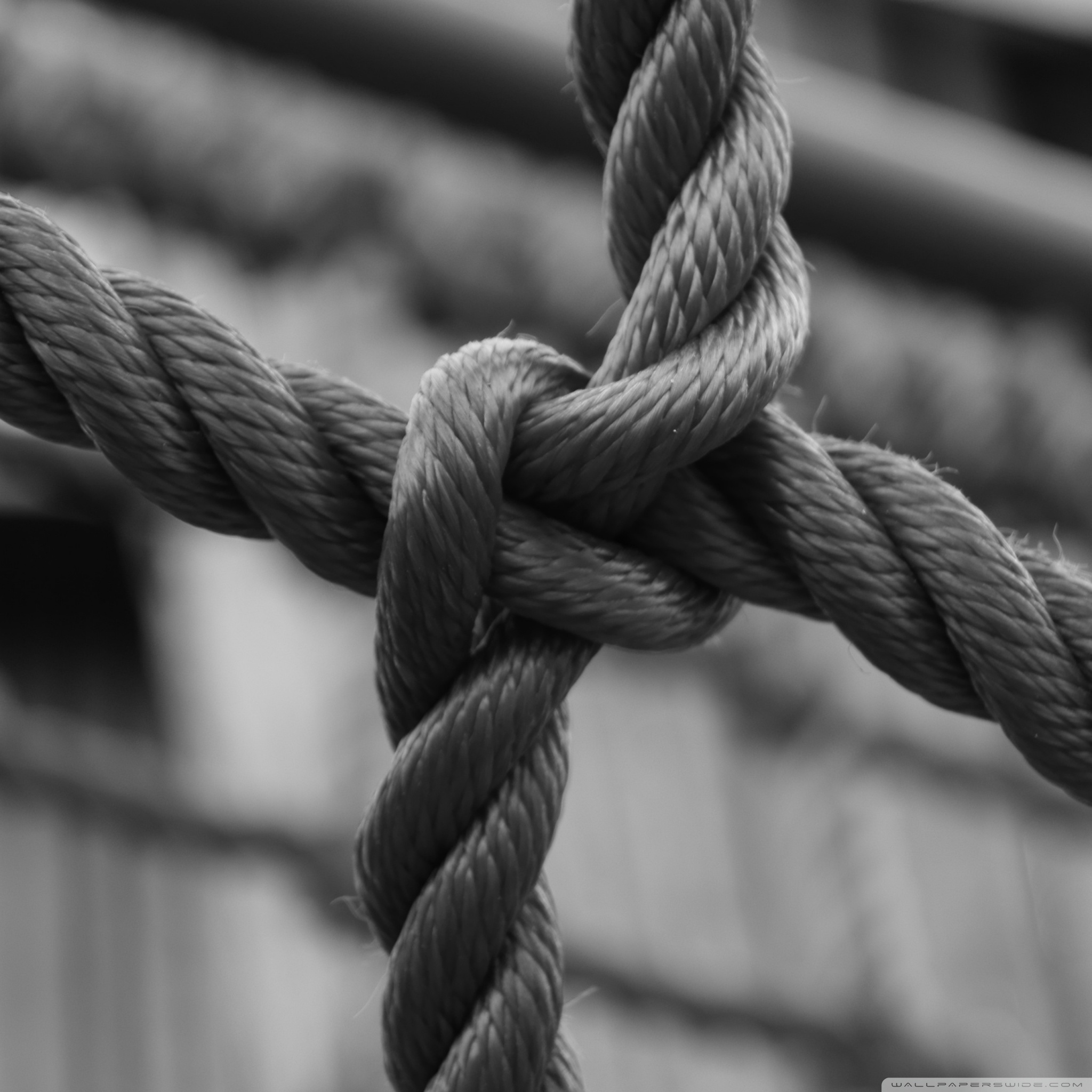 Rope Wallpapers