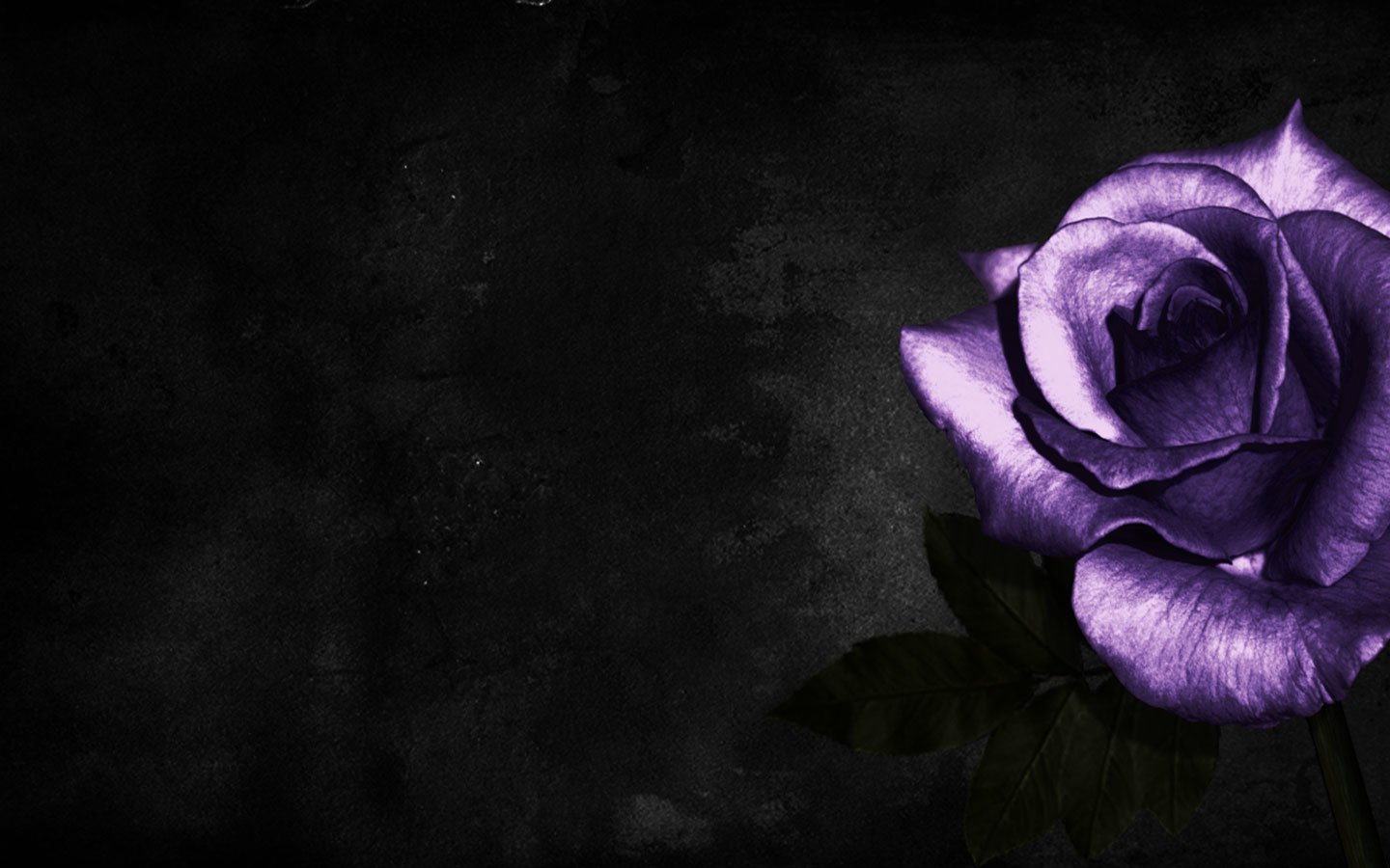 Rose Art Wallpapers