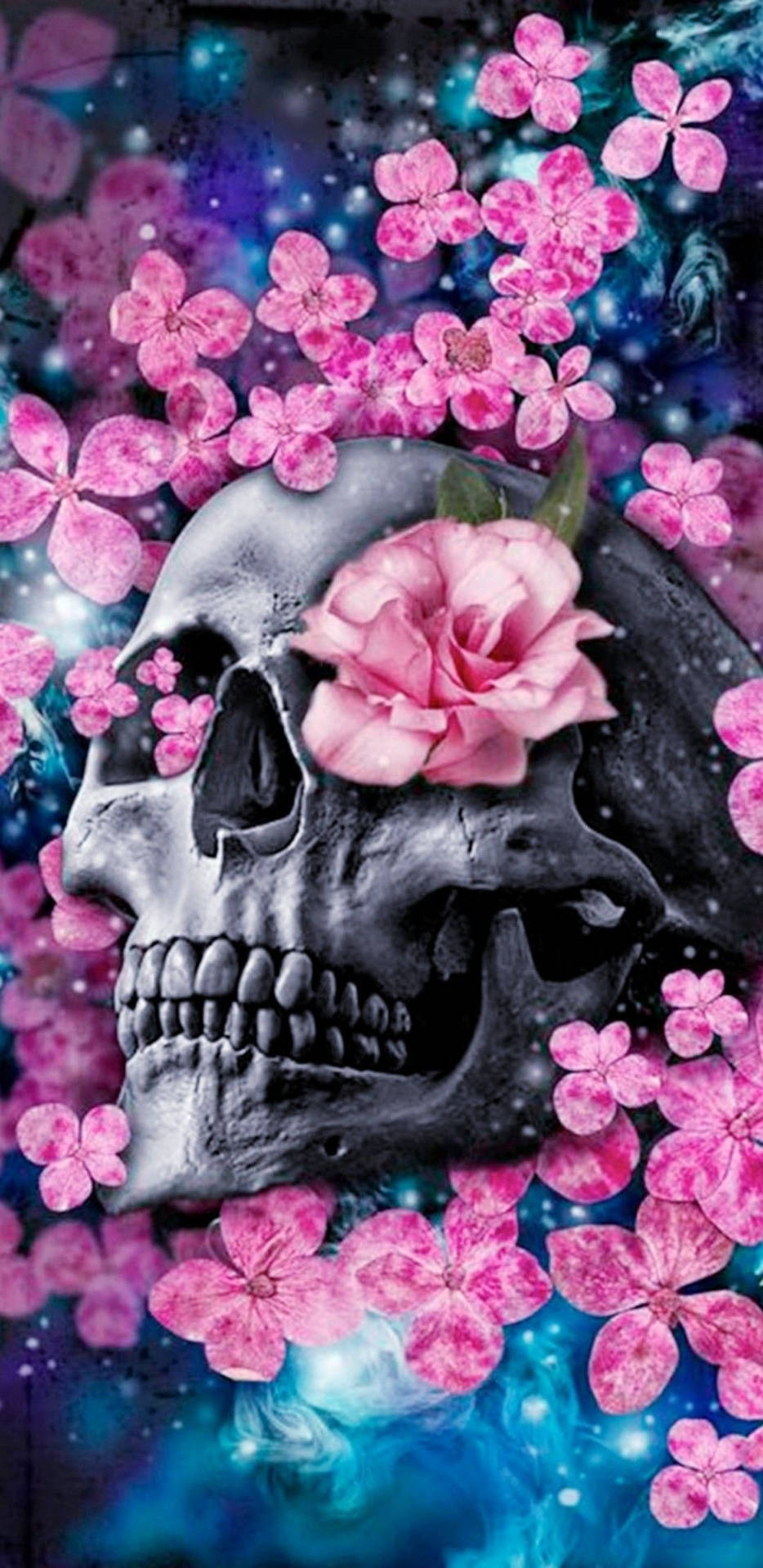 Rose Cute Skull Wallpapers