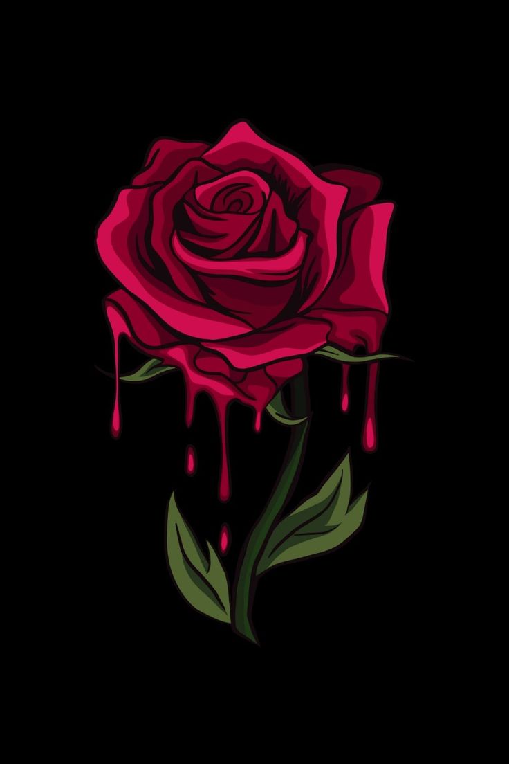 Rose Drawing Wallpapers