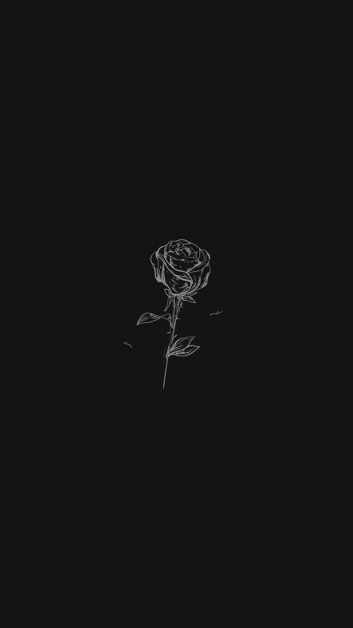 Rose Drawing Wallpapers