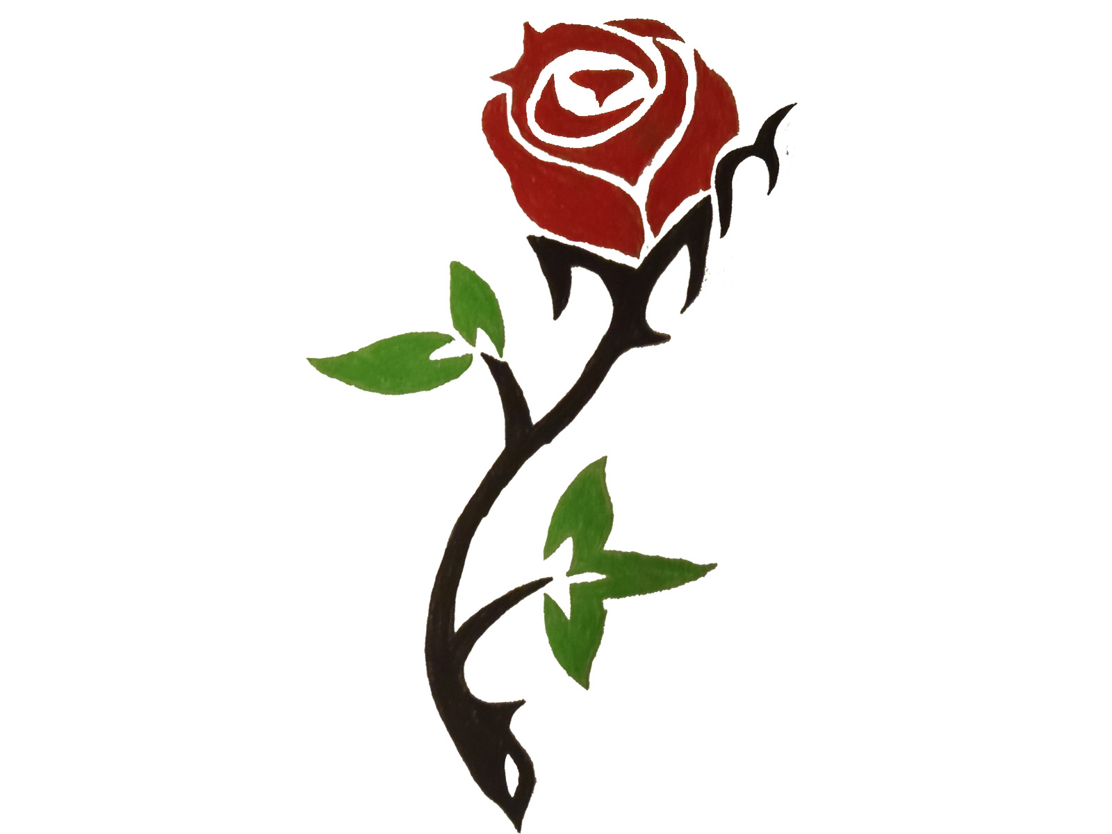 Rose Drawing Wallpapers