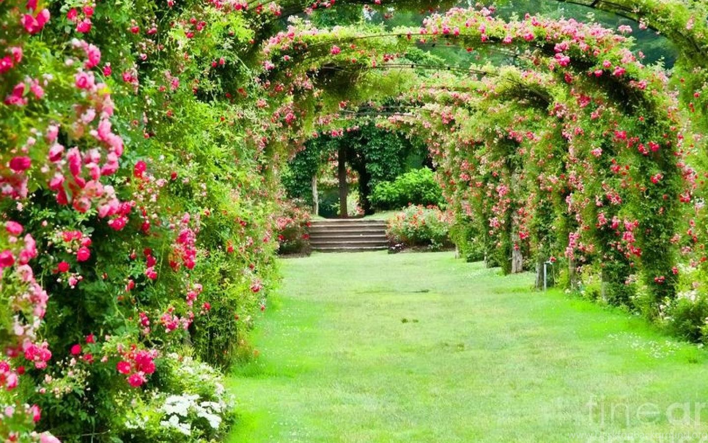 Rose Garden Palace Wallpapers