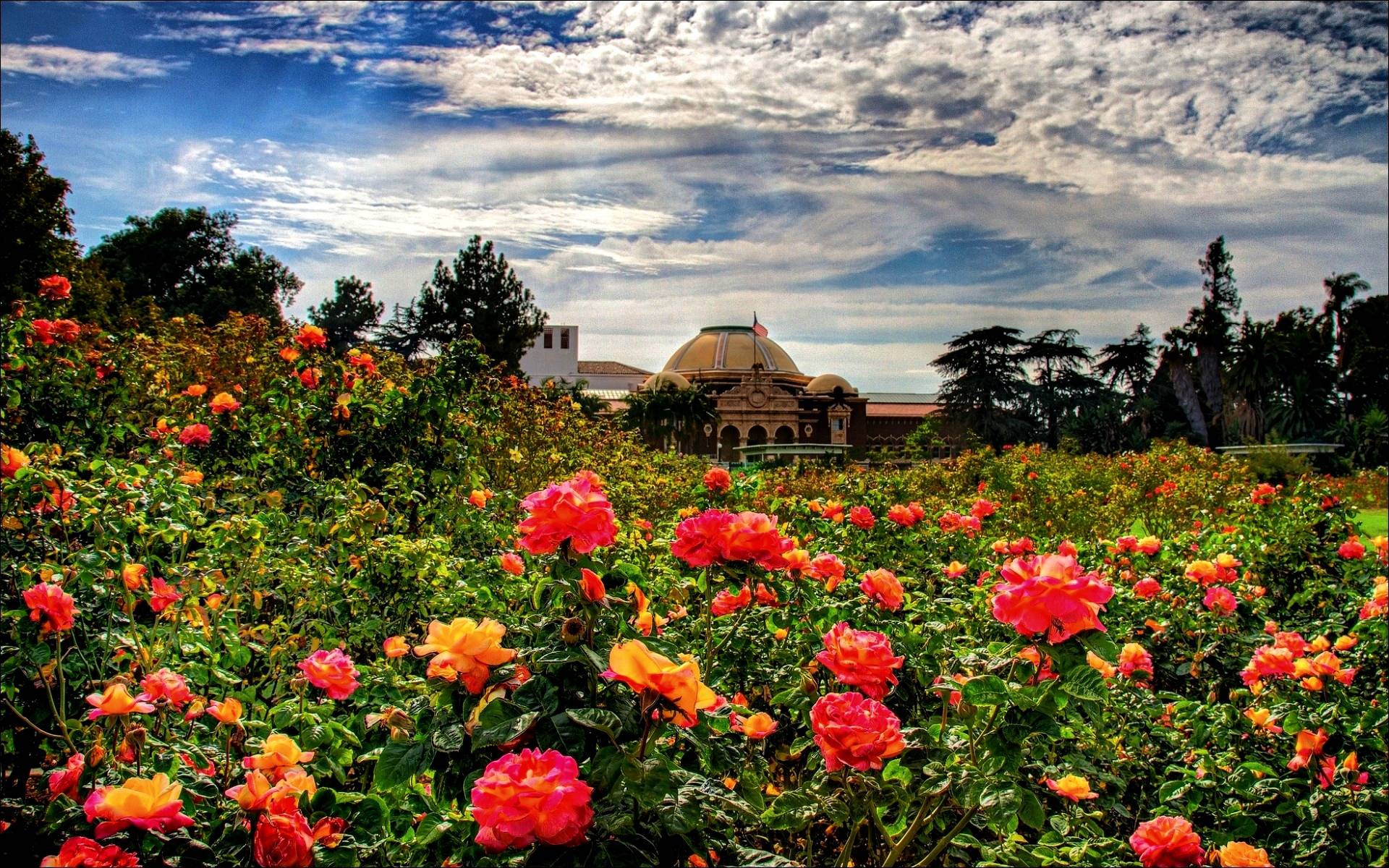 Rose Garden Palace Wallpapers