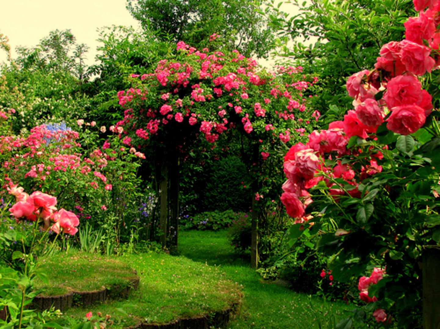 Rose Gardens Wallpapers