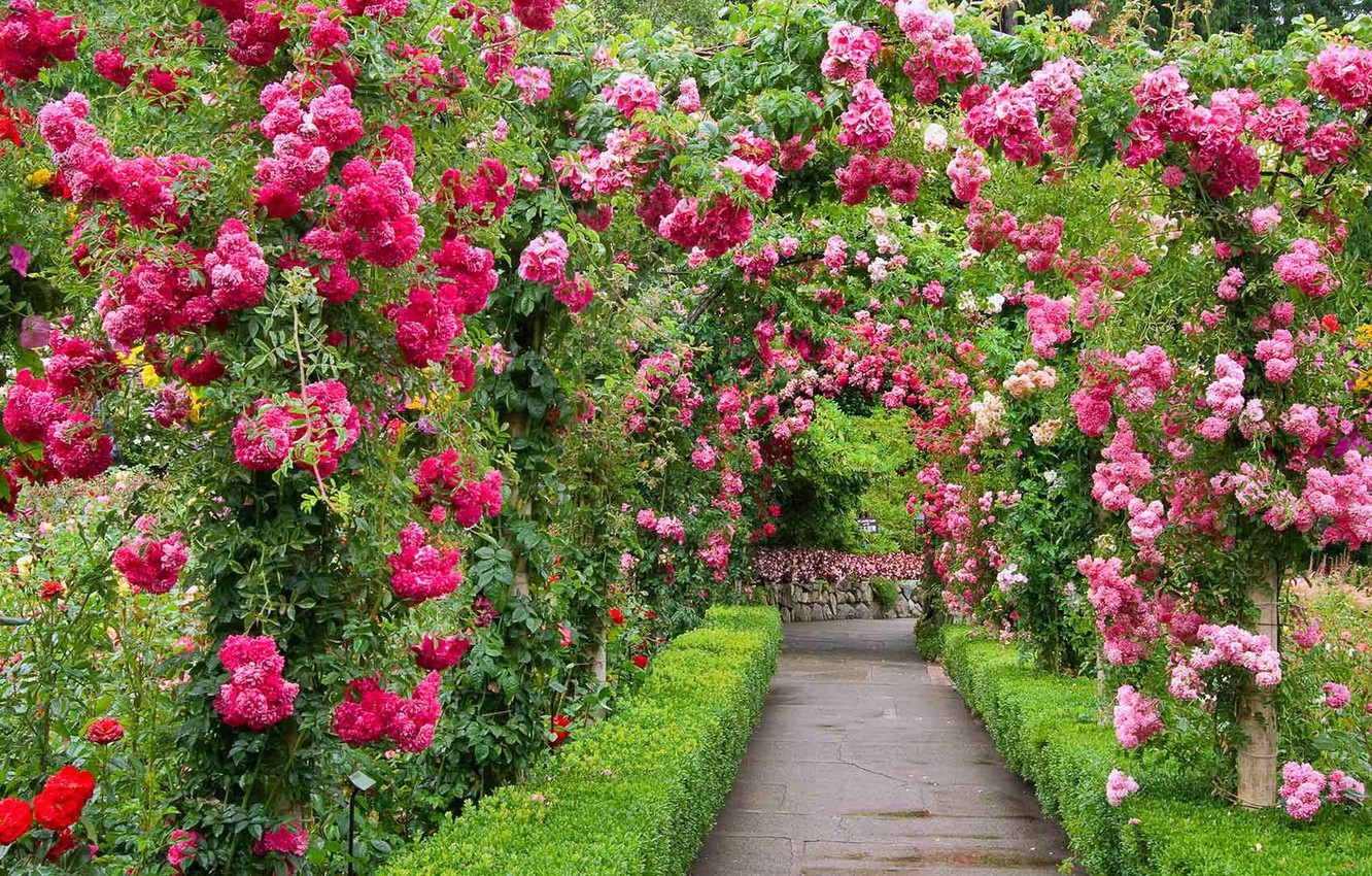 Rose Gardens Wallpapers