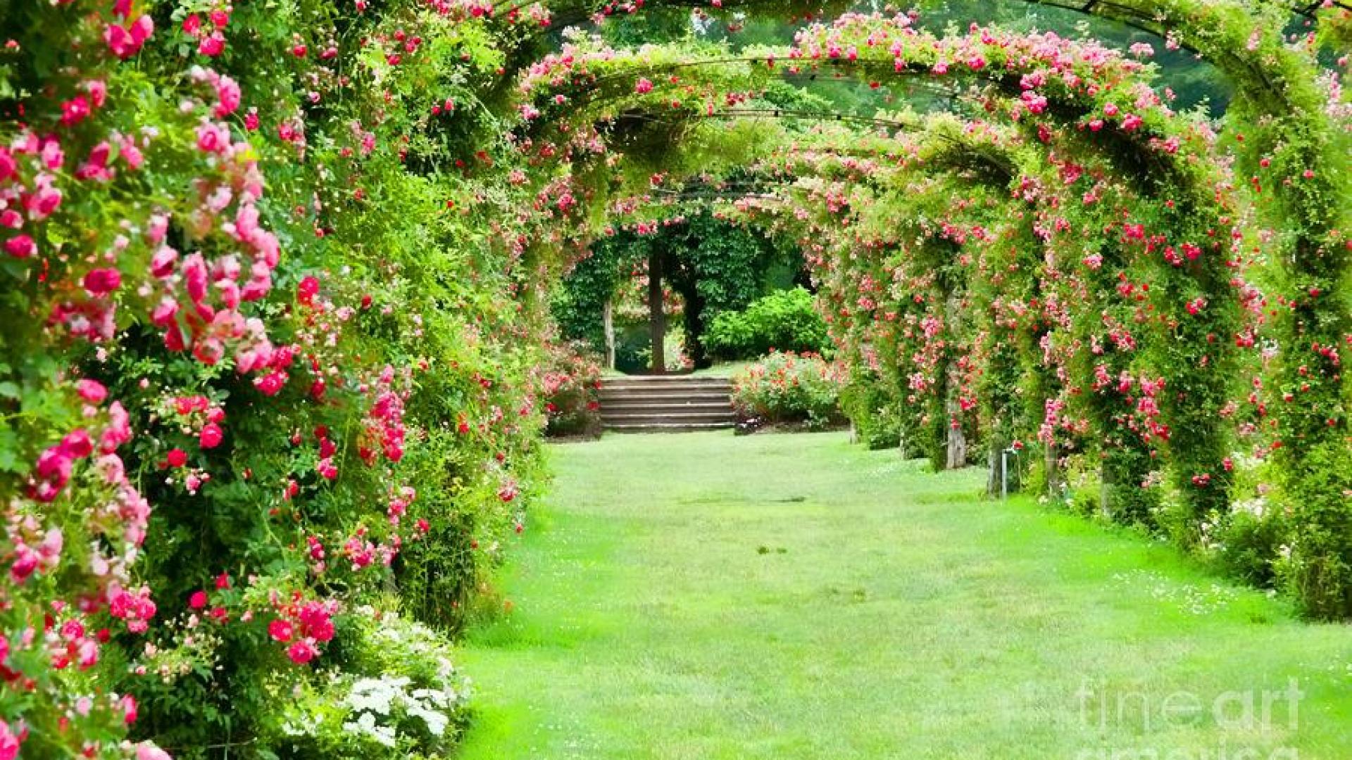 Rose Gardens Wallpapers