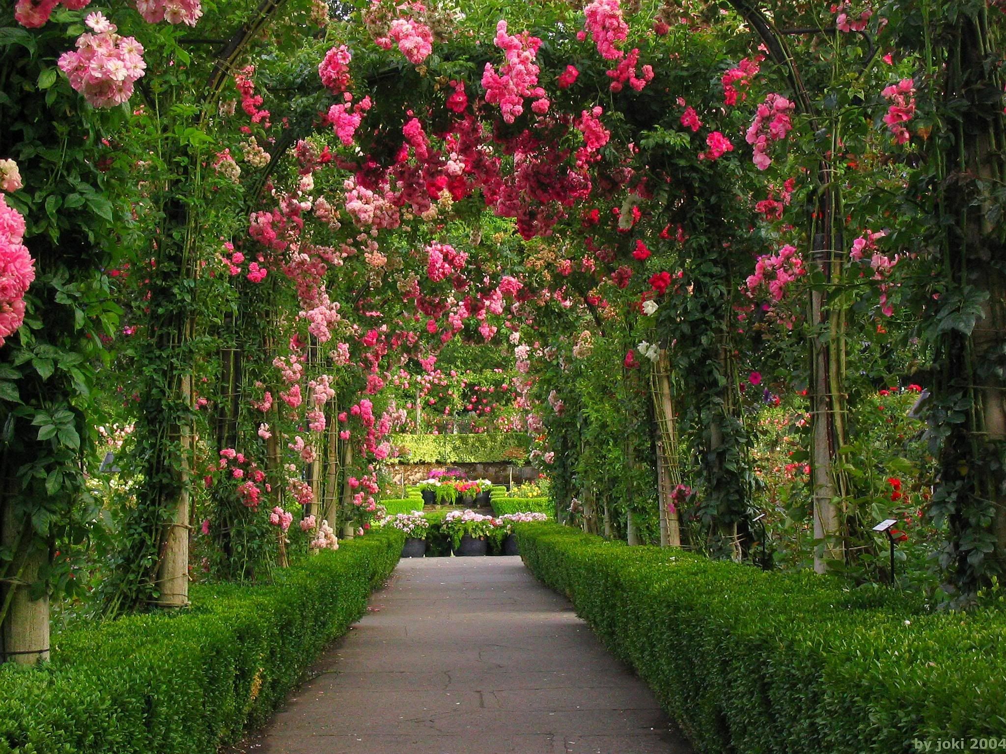 Rose Gardens Wallpapers
