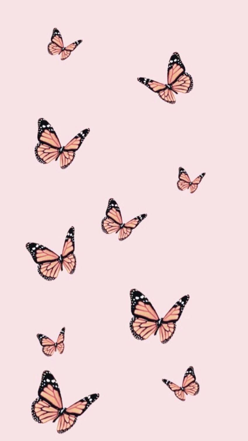 Rose Gold Butterflies Wallpapers