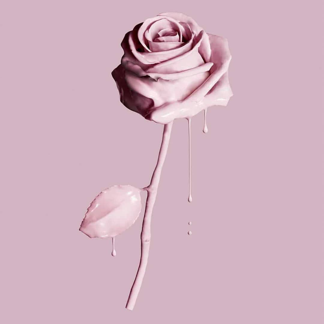 Rose Gold Diamond Pink Rose Cute Wallpapers