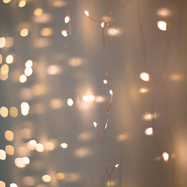 Rose Gold Fairy Lights Wallpapers