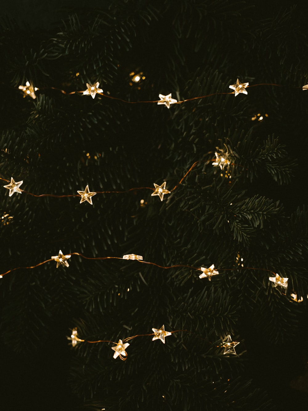 Rose Gold Fairy Lights Wallpapers