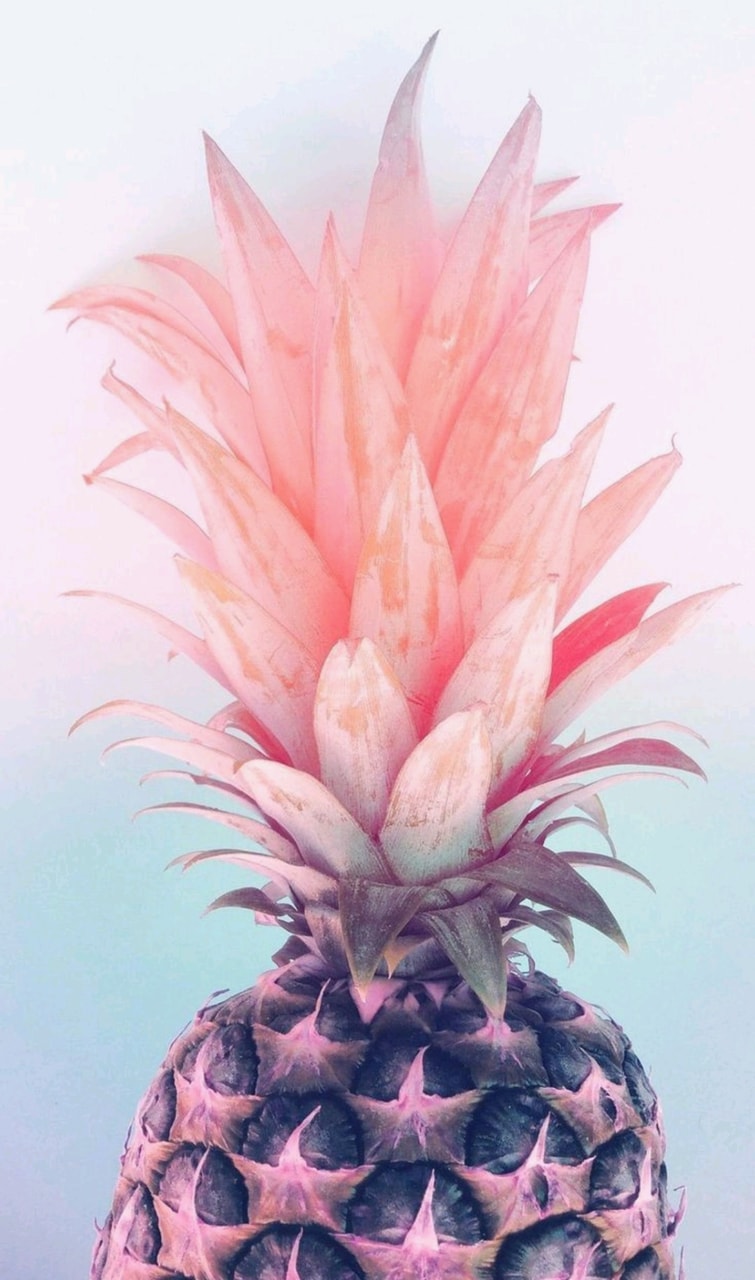 Rose Gold Pineapple Wallpapers