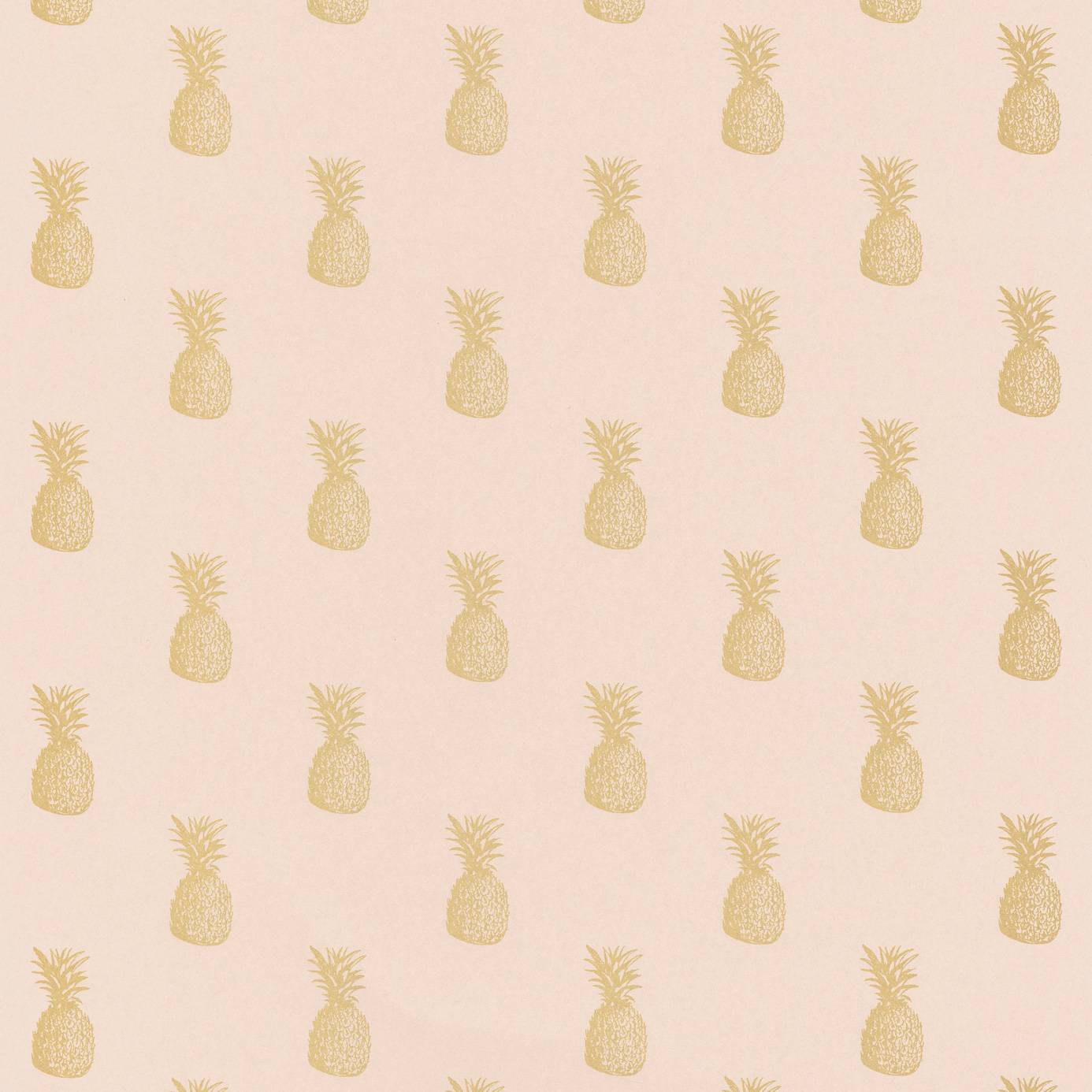 Rose Gold Pineapple Wallpapers