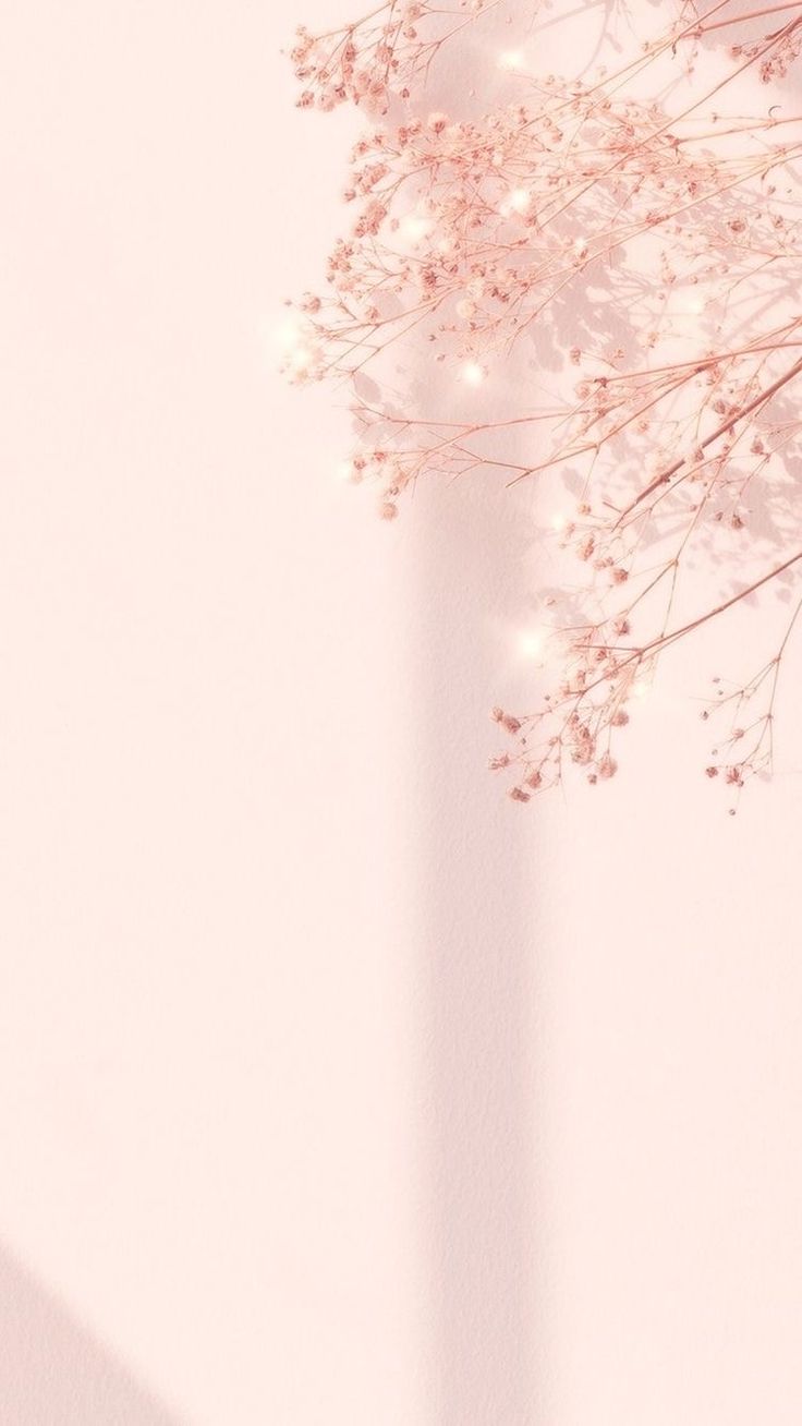 Rose Gold Pink Minimalist Wallpapers