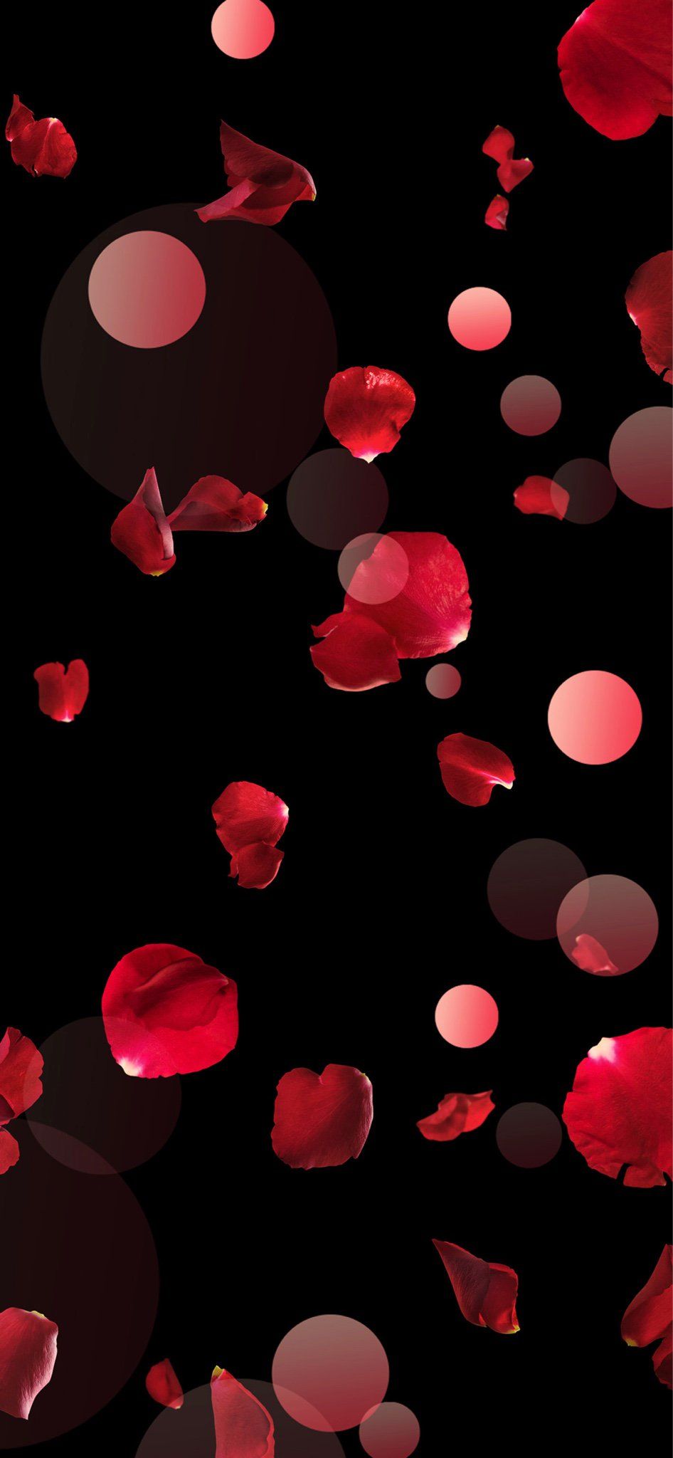 Rose Petals Wallpapers