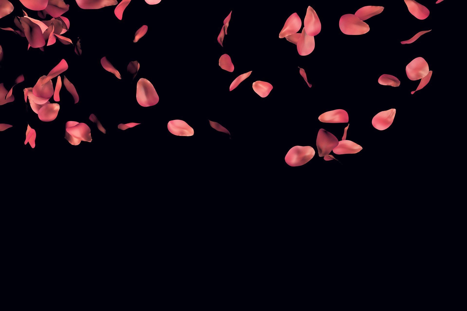 Rose Petals Wallpapers