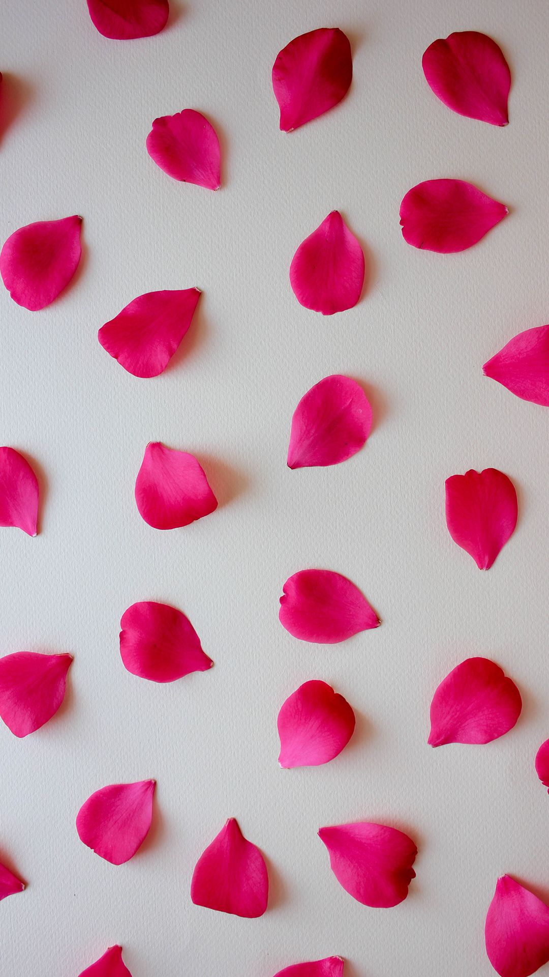 Rose Petals Wallpapers