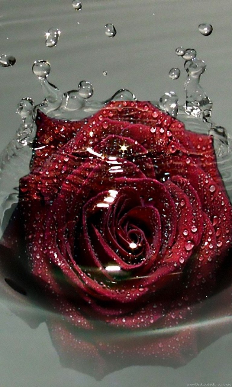 Rose Water Wallpapers