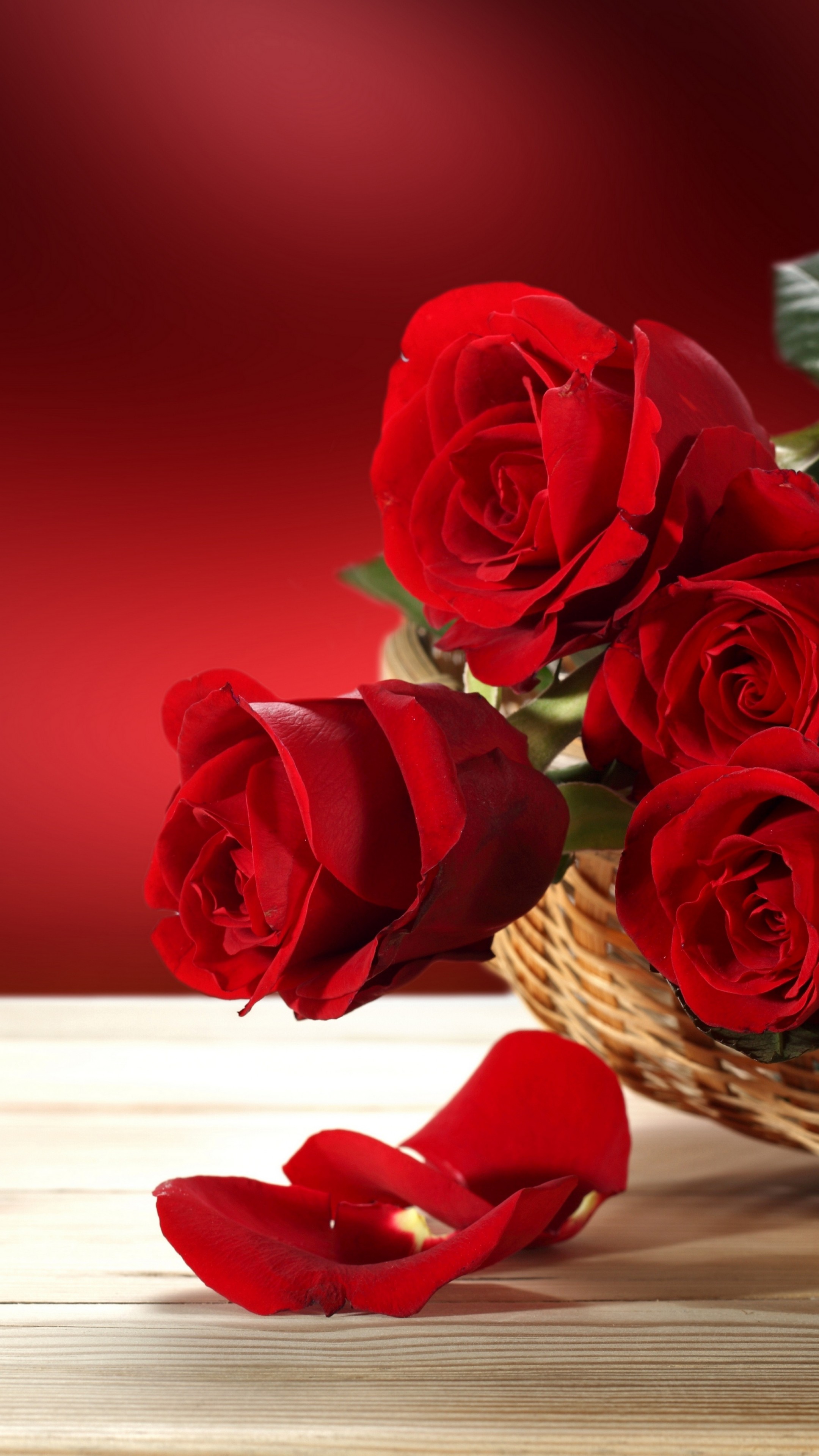 Roses Flower Wallpapers