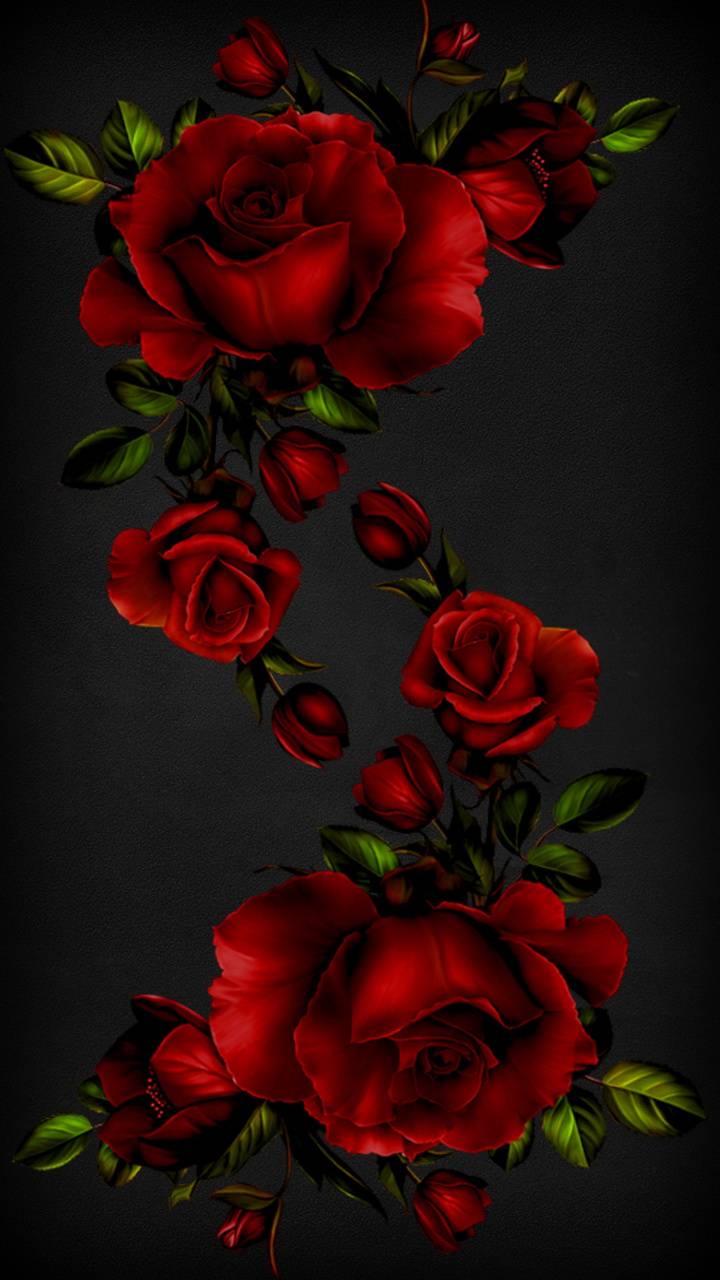 Roses Wallpapers