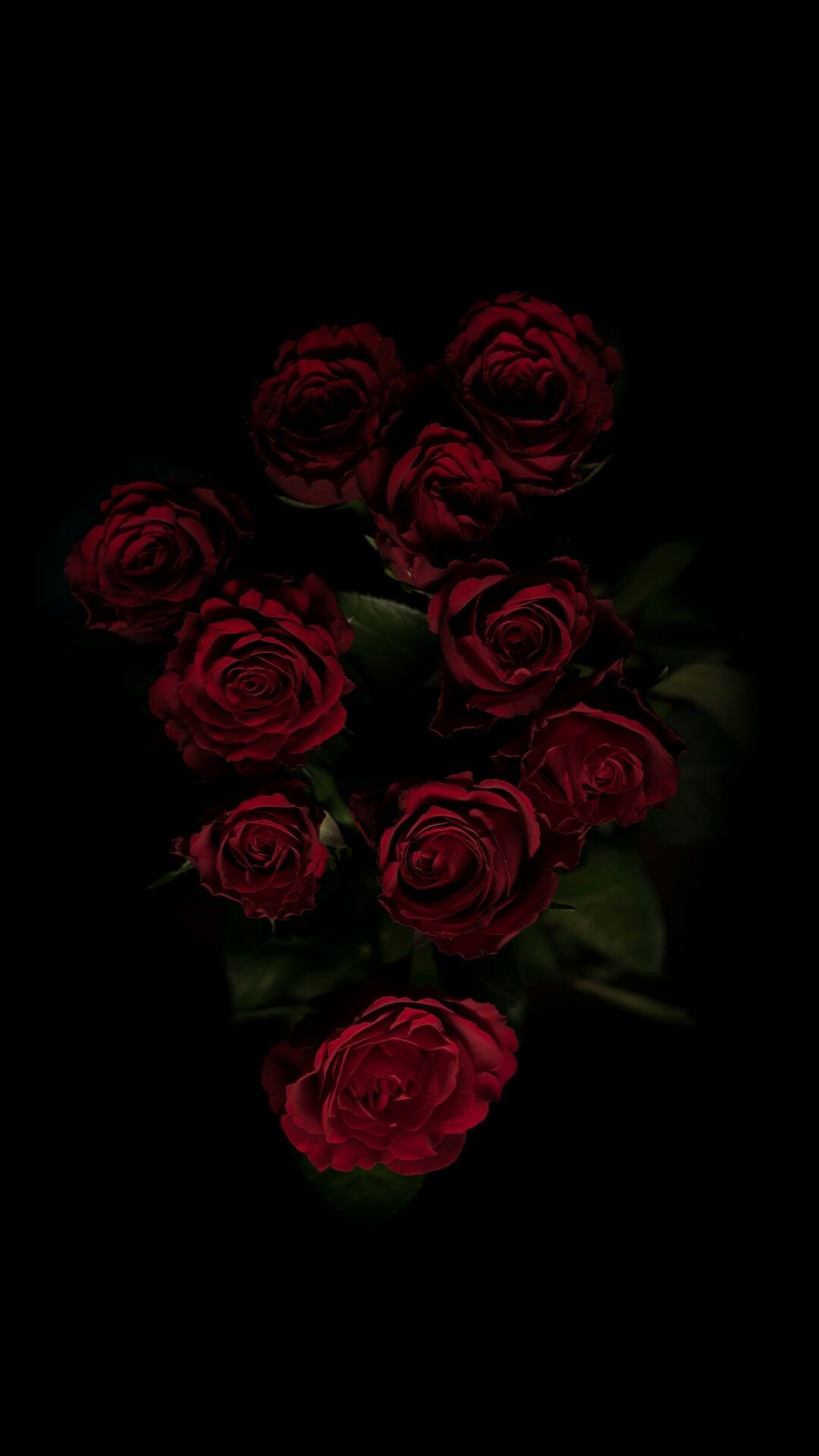 Roses Wallpapers