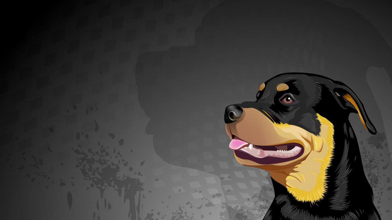 Rotweiler Wallpapers