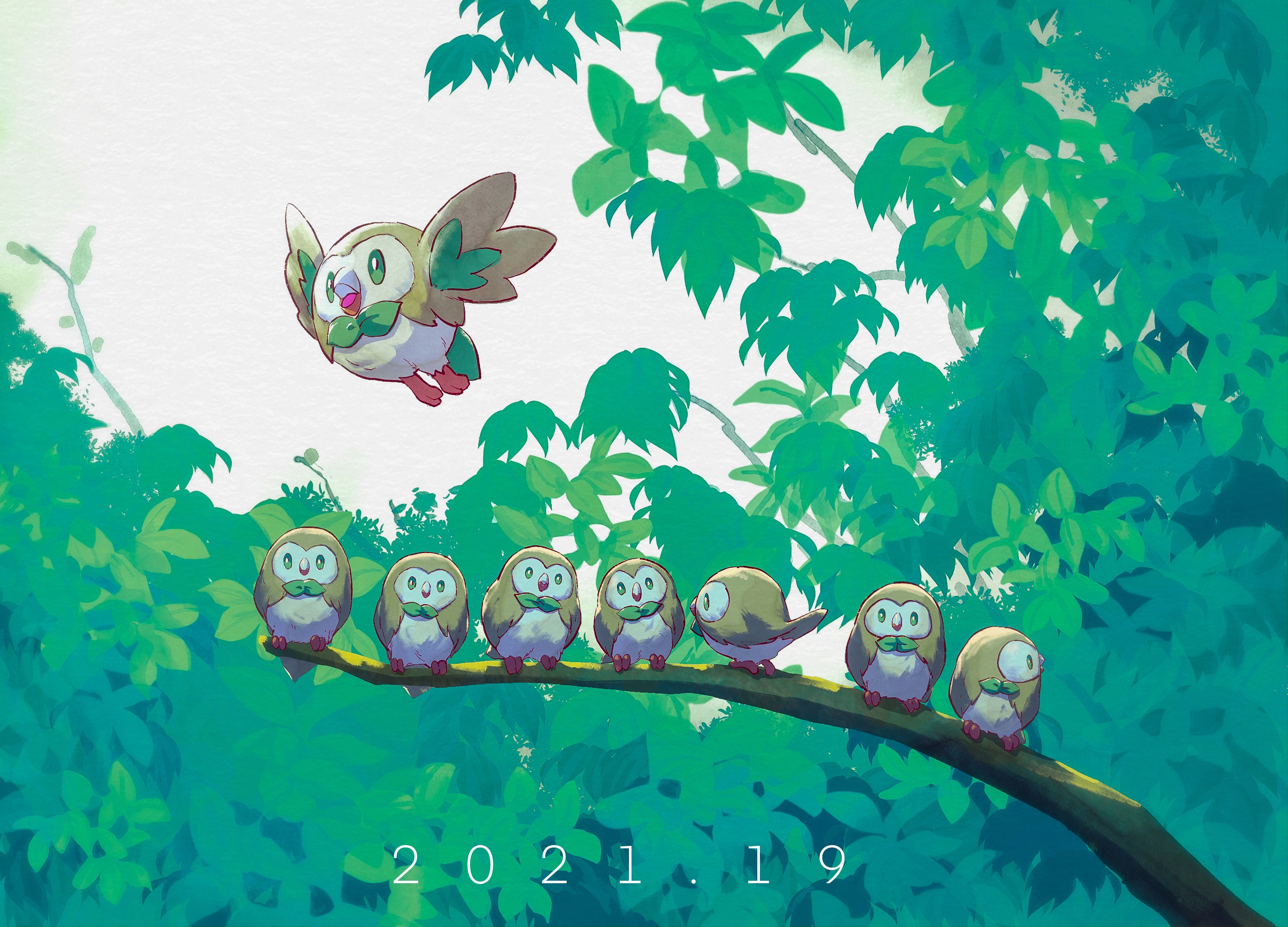 Rowlet Background