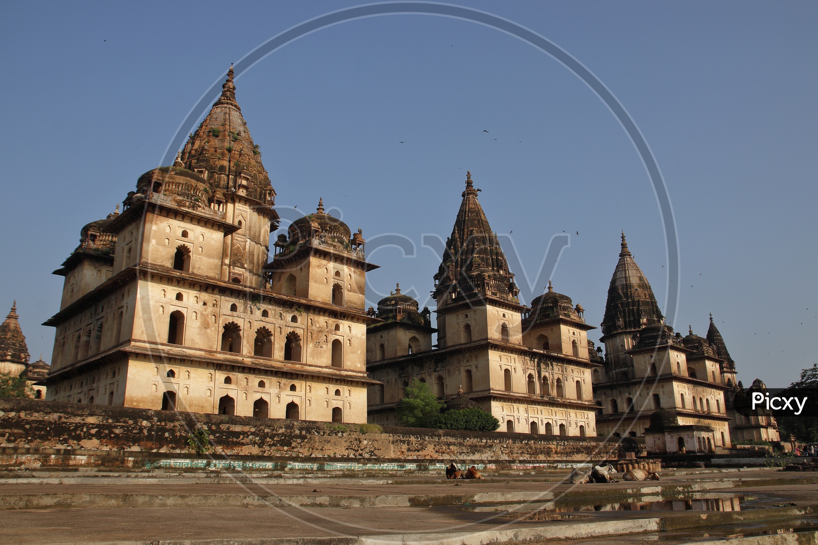 Royal Chhatris Of Orchha Wallpapers