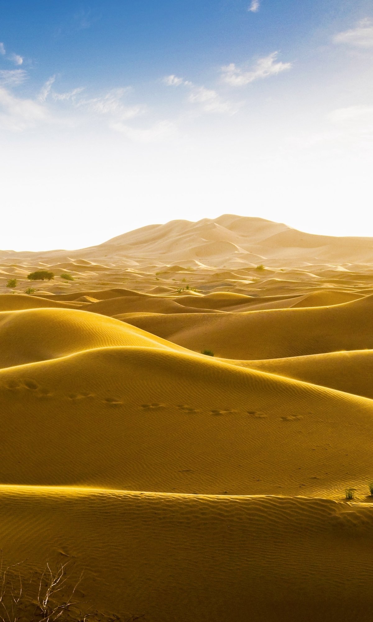 Rub' Al Khali Desert On The Border Of Oman And The Emirate Of Dubai Wallpapers