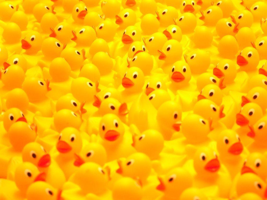 Rubber Ducky Wallpapers