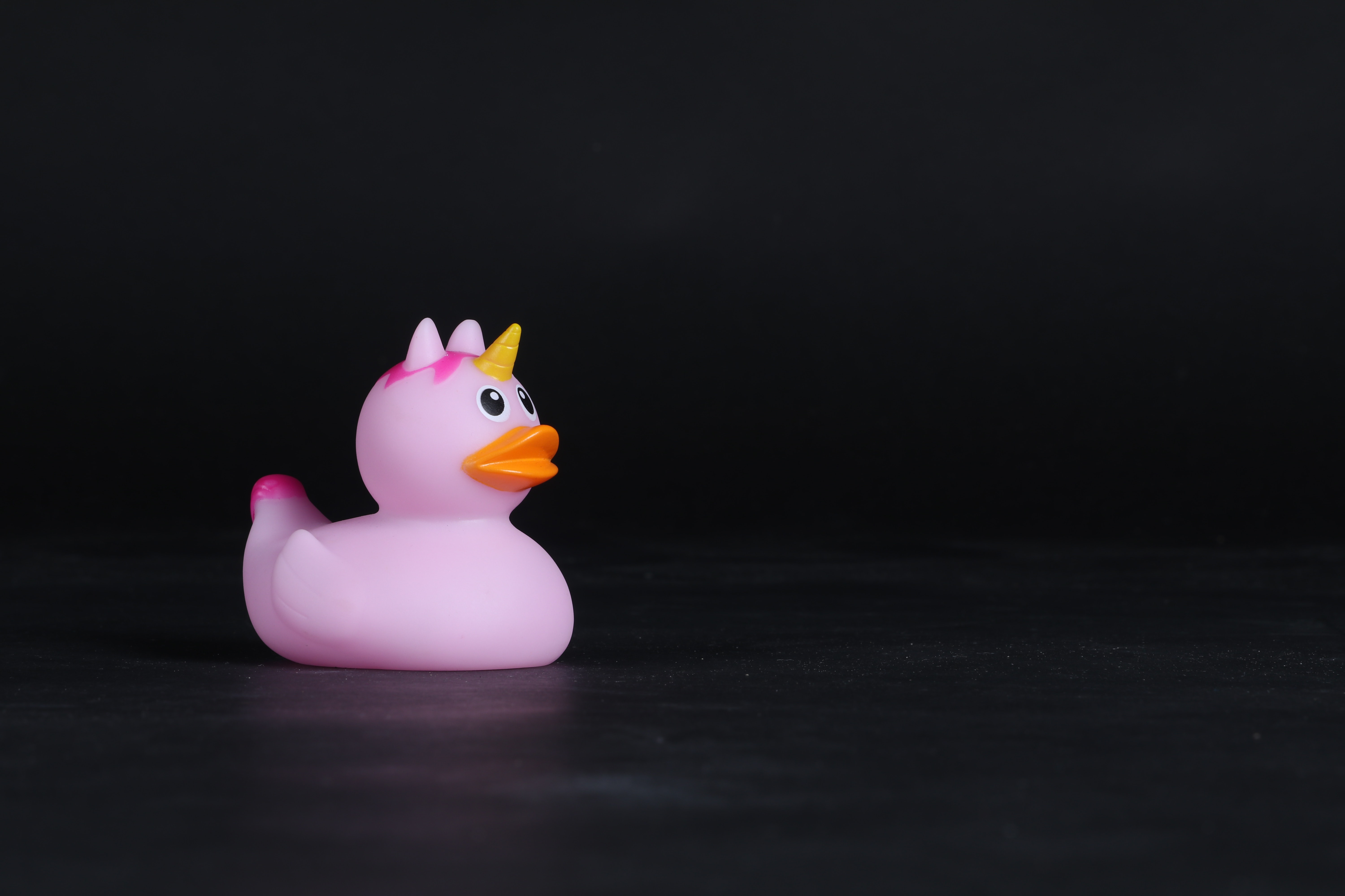 Rubber Ducky Wallpapers