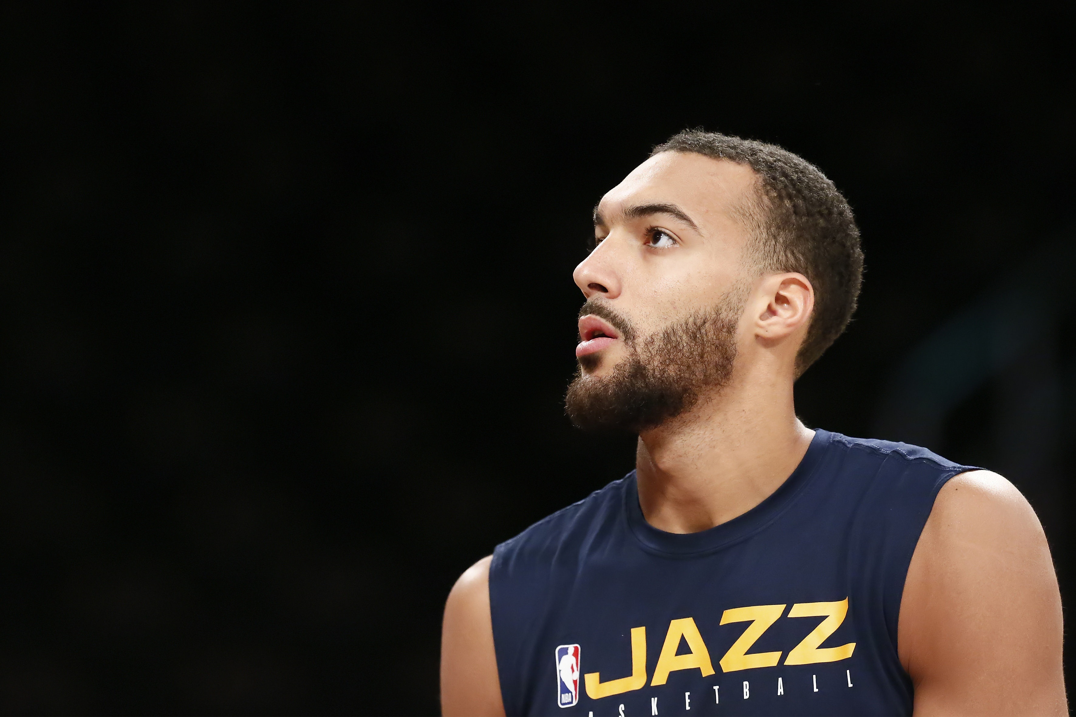 Rudy Gobert Wallpapers