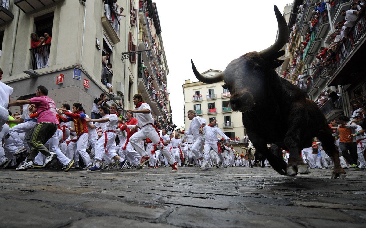 Running Of The Bulls Wallpapers