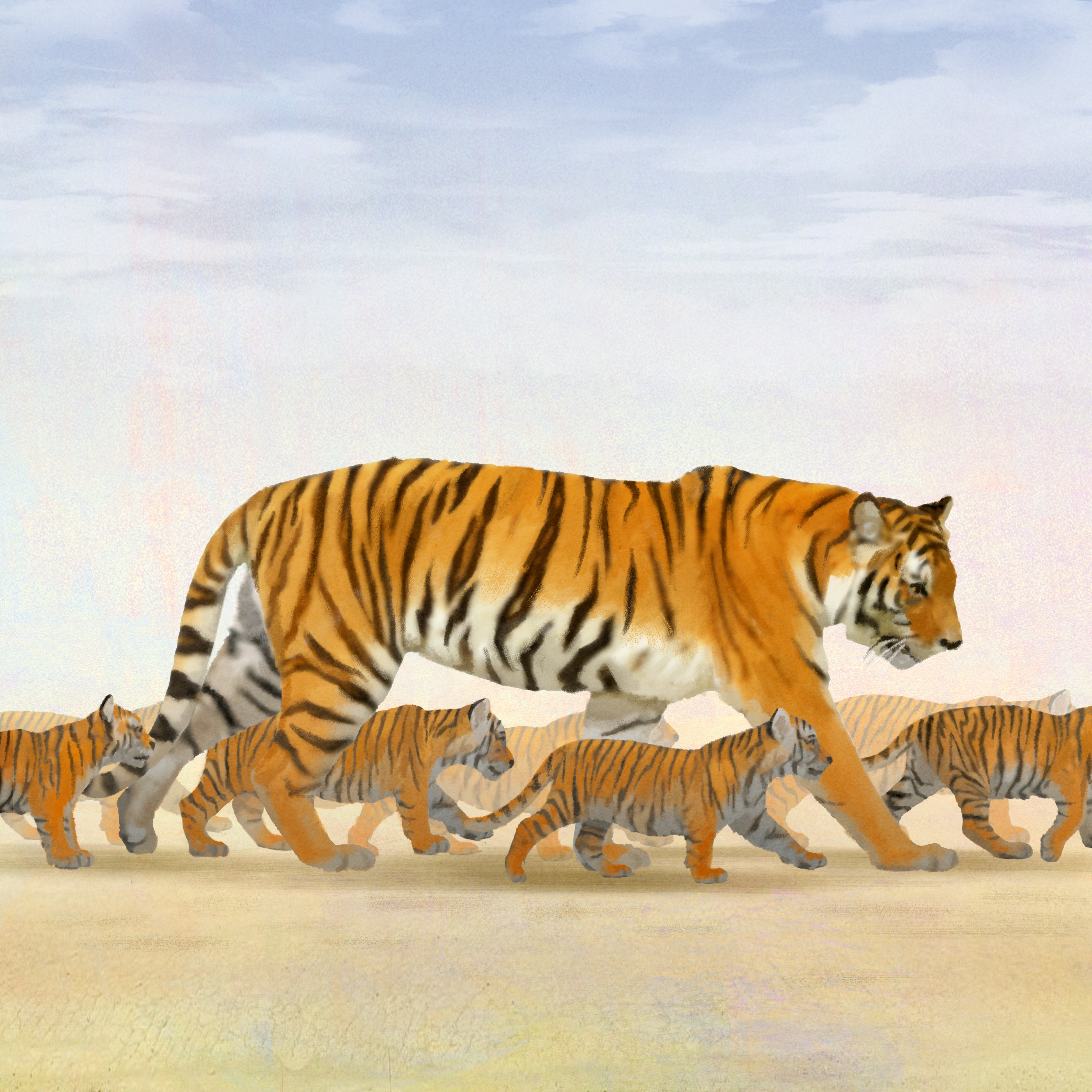 Russian Women With Tiger Illustration Wallpapers