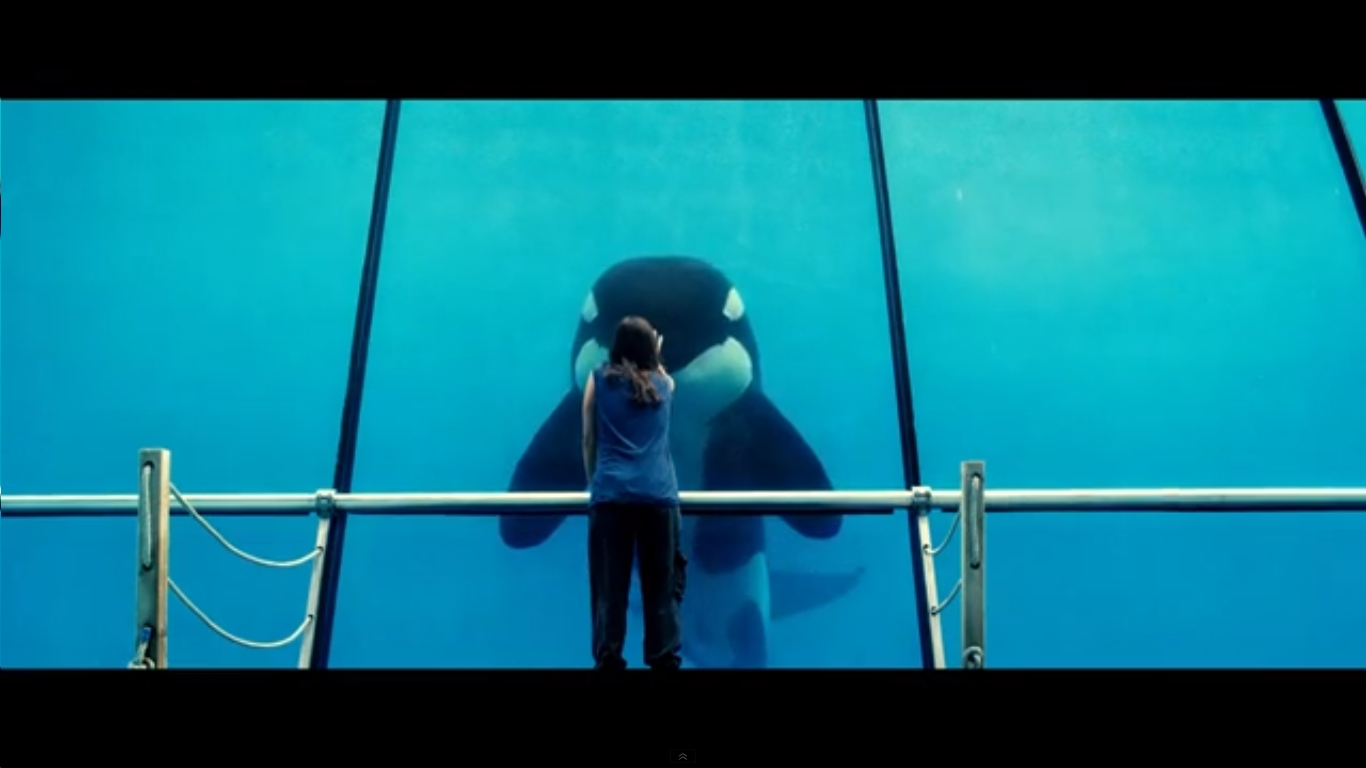 Rust And Bone Wallpapers