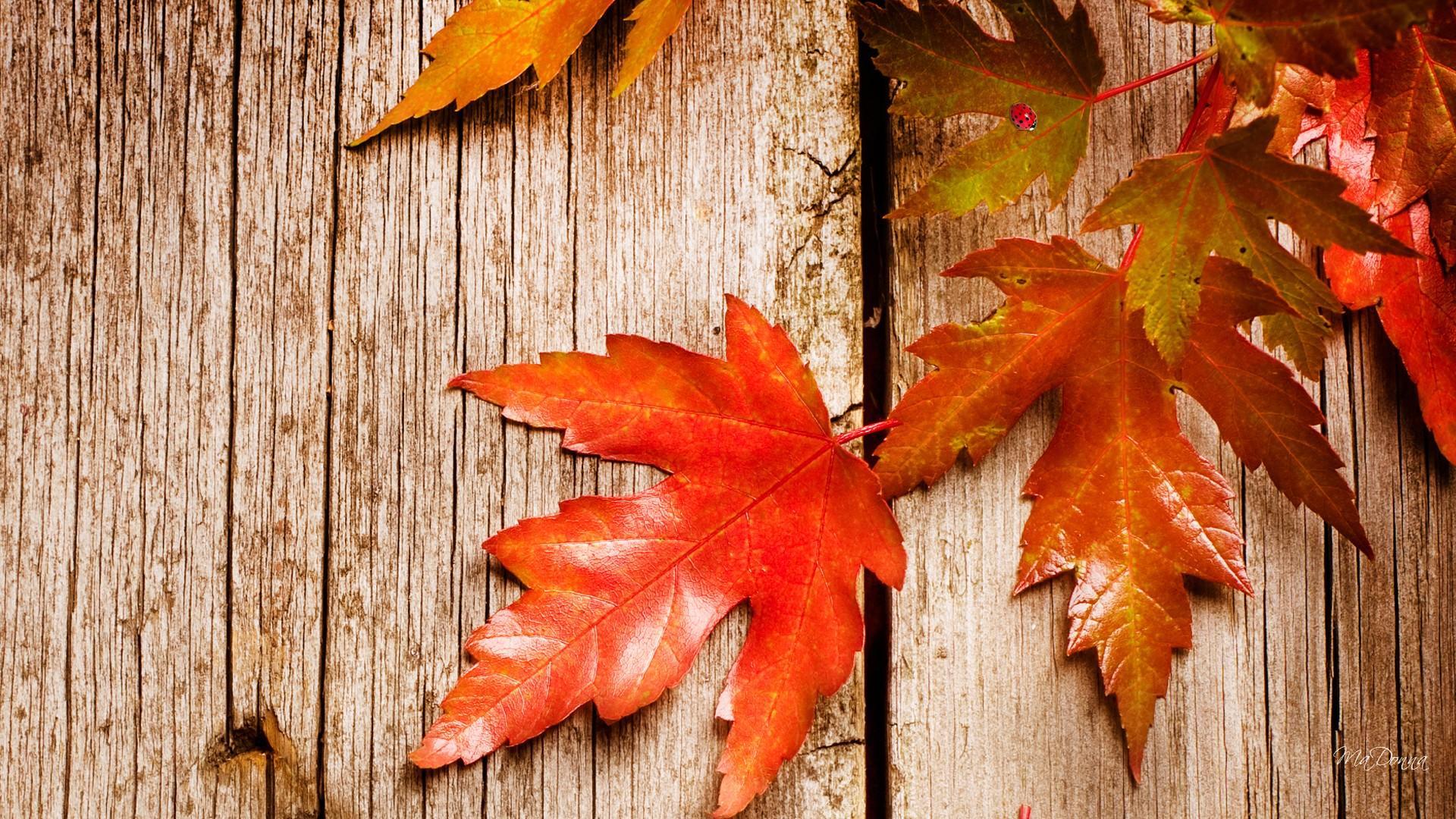 Rustic Fall Wallpapers