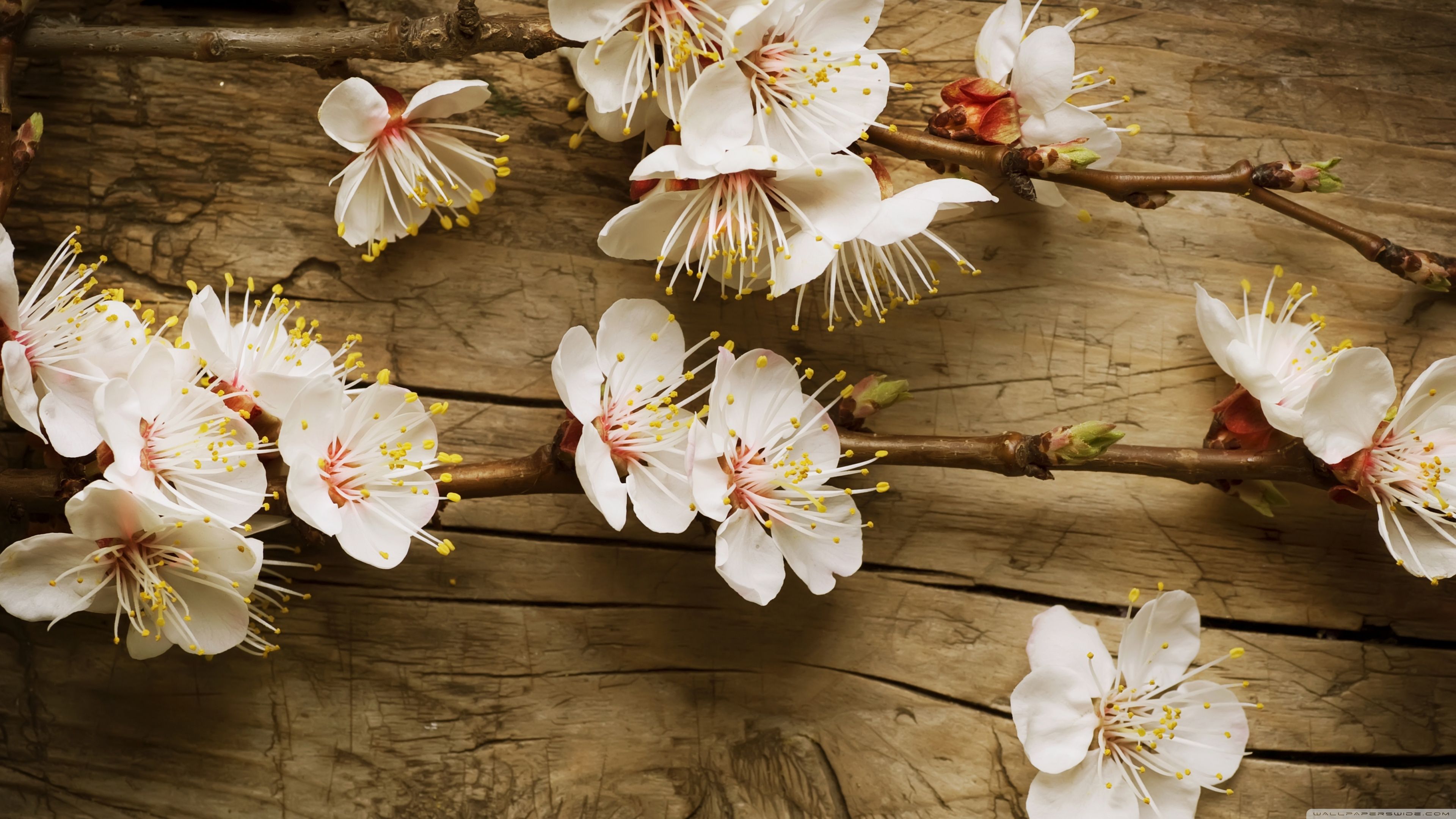 Rustic Spring Wallpapers