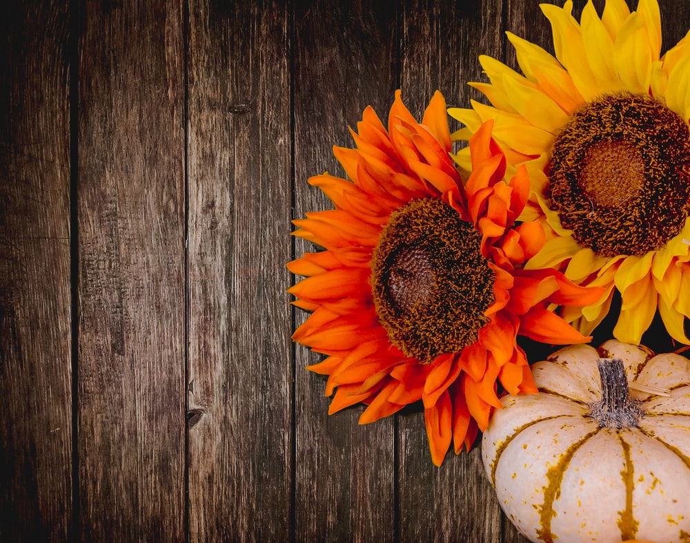 Rustic Thanksgiving Wallpapers