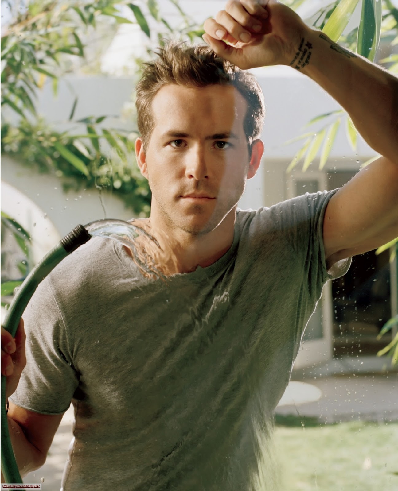 Ryan Reynolds Portrait Photoshoot Wallpapers