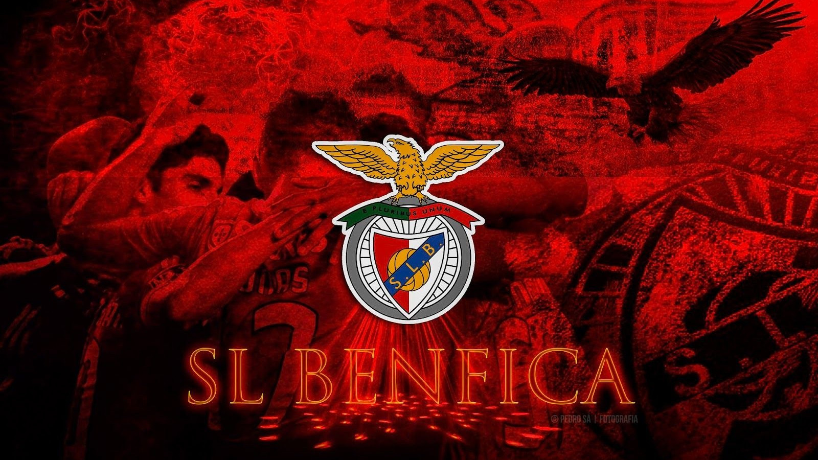 S.L. Benfica Wallpapers