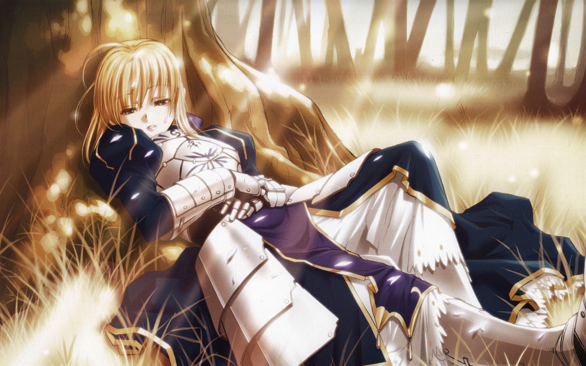 Saber Art Fate Series Wallpapers