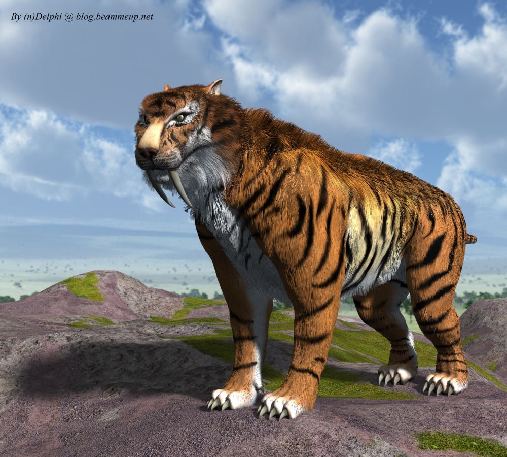 Saber Tooth Tiger Wallpapers