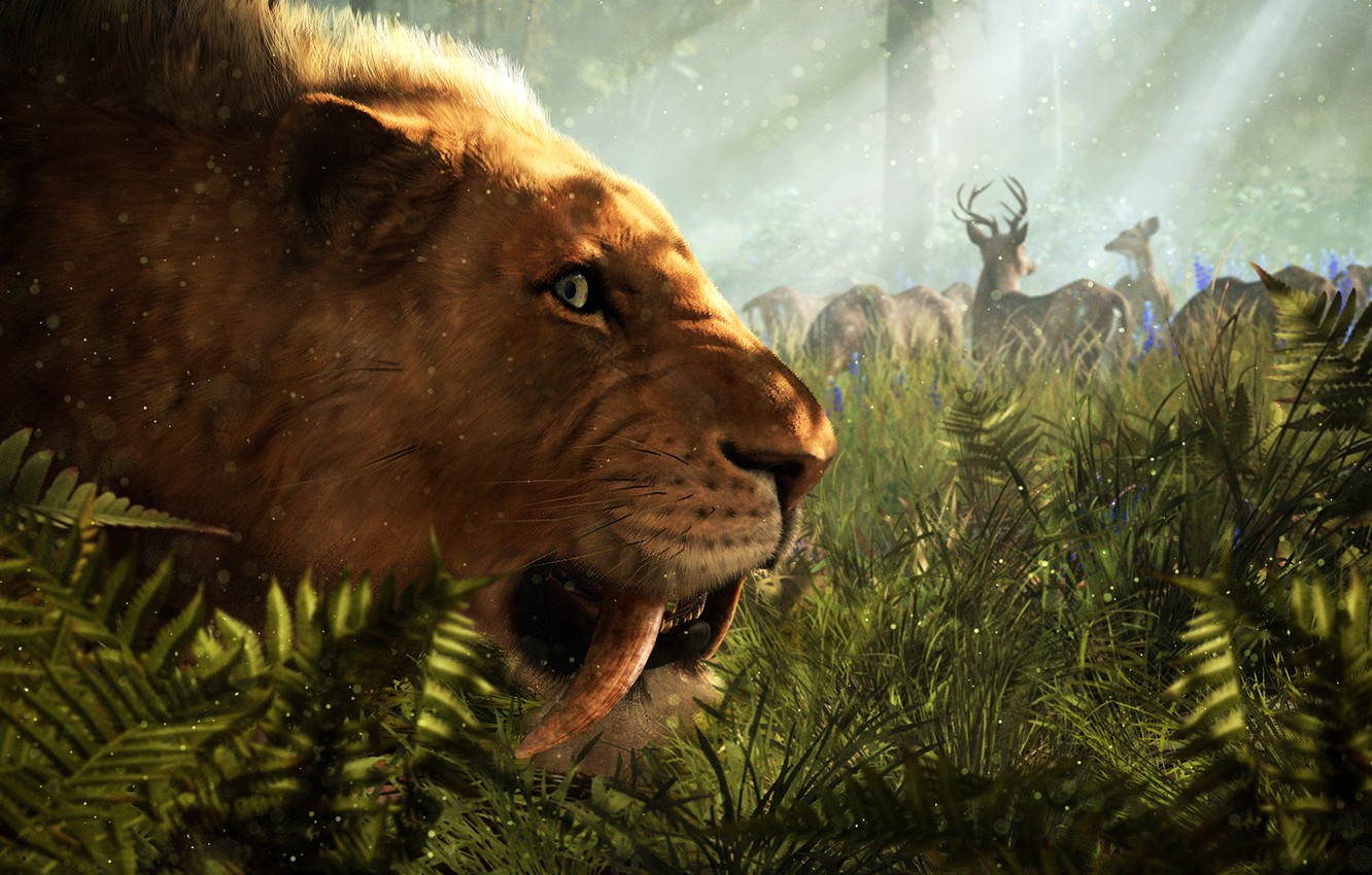 Saber Tooth Tiger Wallpapers