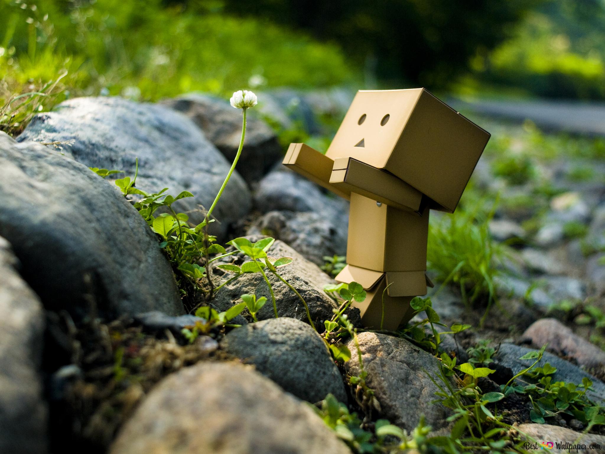 Sad Box Robot Wallpapers