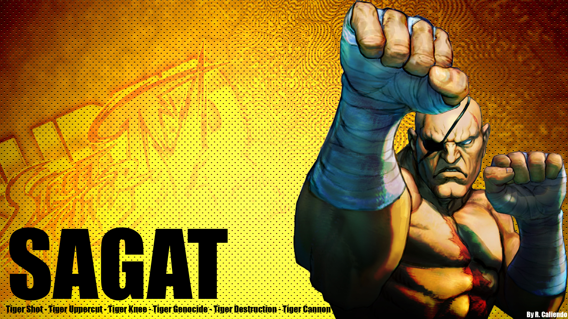 Sagat Wallpapers