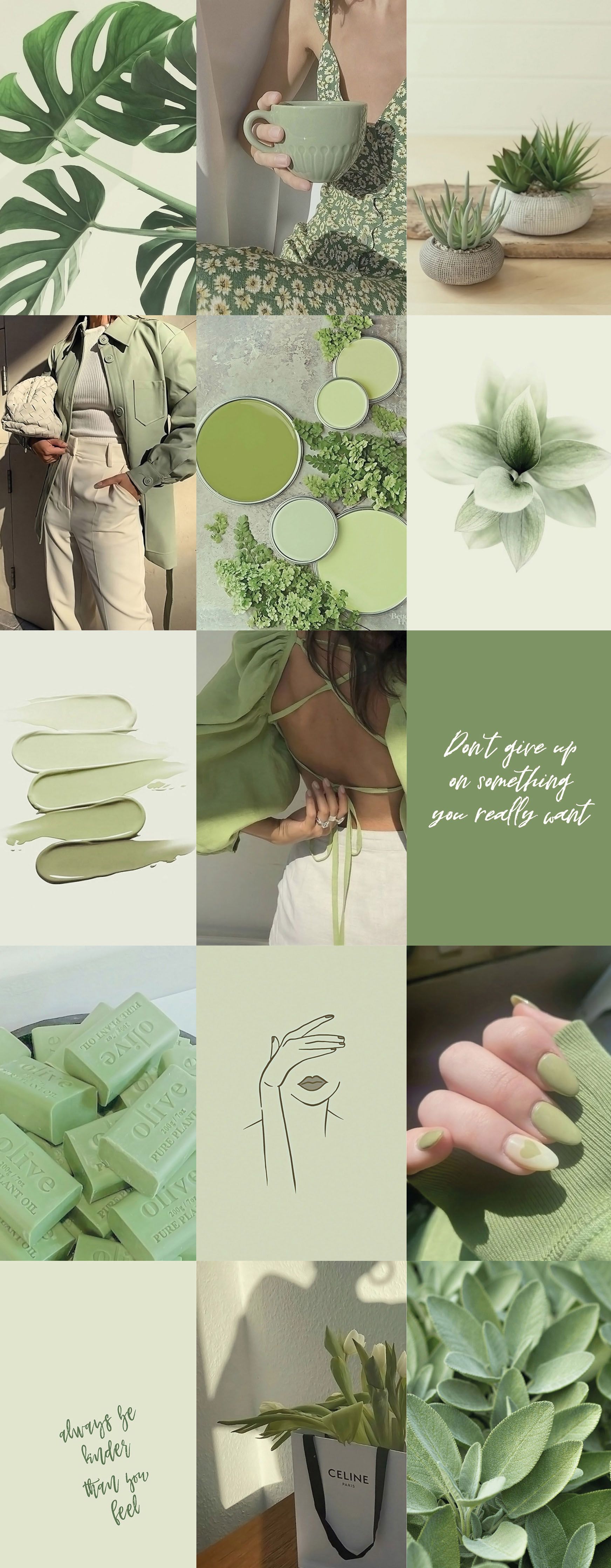 Sage Green Aesthetic Wallpapers