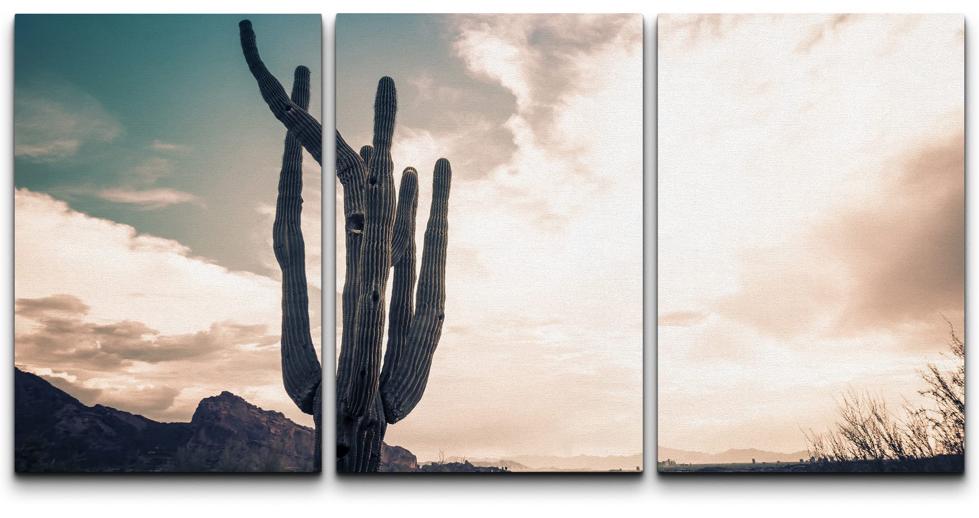 Saguaro Geometric Line Art Wallpapers